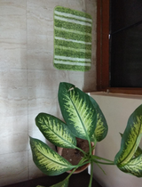 suhas review photo