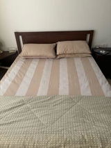 Shanthi N. review photo