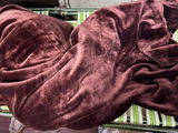 Megha review photo