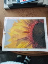 Saskia review photo