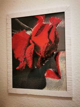 Ivana M. review photo