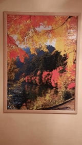 Barbara Aigner review photo