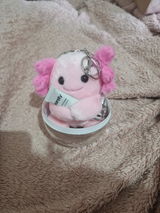 Itzy mons review photo