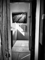 Noel Gilbert review photo