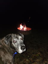 Mary Lynn and Wado review photo