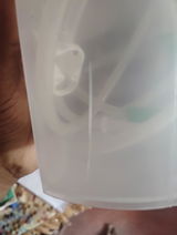 Md ali review photo