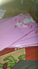 Priya Gupta review photo