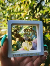 Karolina review photo