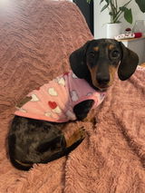 Mollie review photo