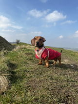 Mawgan review photo