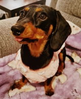 Marge review photo