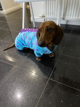 Kirra review photo