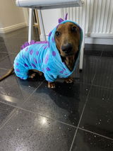 Kirra review photo