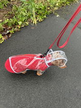 ryan hassell review photo