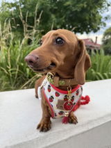 Rubi Star review photo