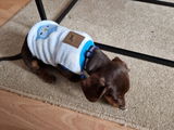 SPUD review photo