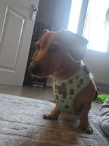 Zoë review photo