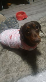 Mini Sausage review photo