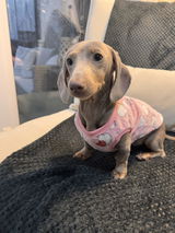 Maggie May Lil Sausage review photo