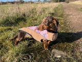 Sharon review photo