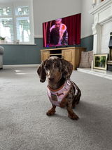 Lea review photo