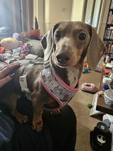 Riah Pilling review photo