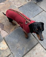Happy customer review photo