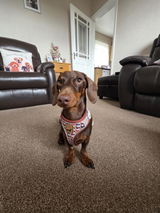 Destiny Evans review photo