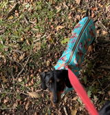 Top dog review photo