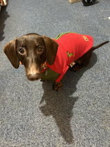 Disney review photo