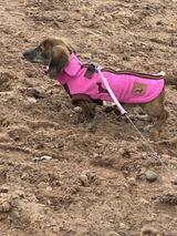 Emily Cound review photo