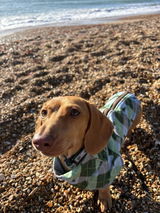 Emily and Dobby review photo