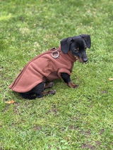 Denise review photo