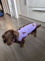 benson review photo