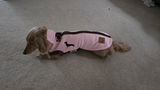 Ryder review photo