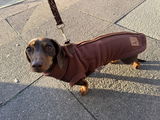 Mabel review photo