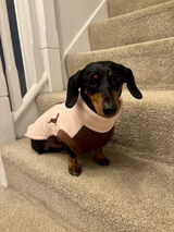 Ruby review photo