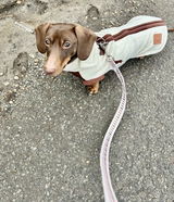 Bertie review photo
