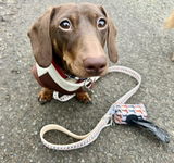 Bertie‘s poo bag holder review photo