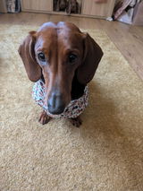 Claire review photo