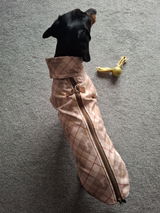 Anthea review photo