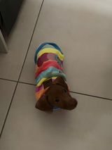 Rolo review photo
