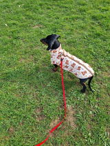 Jacky review photo