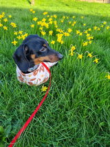 Jacky review photo