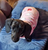 Etsy customer review photo