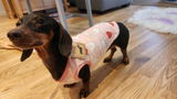 Etsy customer review photo