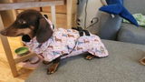 Etsy customer review photo