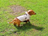 Firstname Lastname review photo