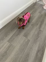 Sharn Bevan review photo
