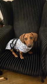 A Spooner review photo